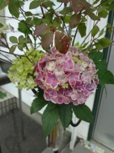 15.7.30.c