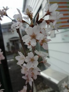 3.14.h